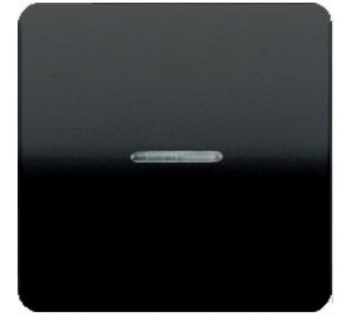 Клавиша 1-я с подсветкой JUNG CD590KO5SW черный Клавиша 1-я с подсветкой JUNG CD590KO5SW черный