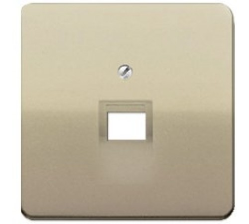 Панель розетки TF/PC 1-я JUNG CD569-1UAGB бронза Панель розетки TF/PC 1-я JUNG CD569-1UAGB бронза