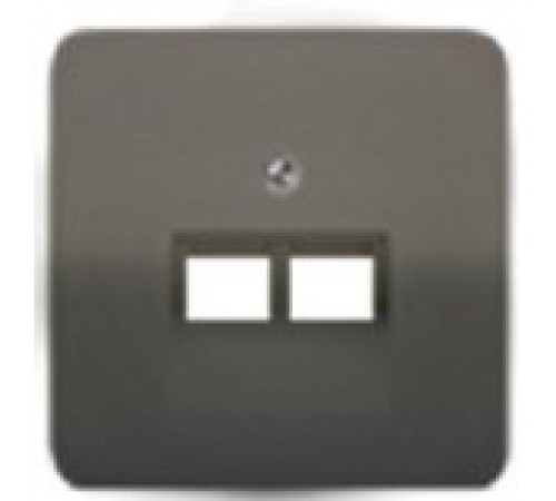 Панель розетки TF/PC 2-я JUNG CD569-2UABR коричневий
