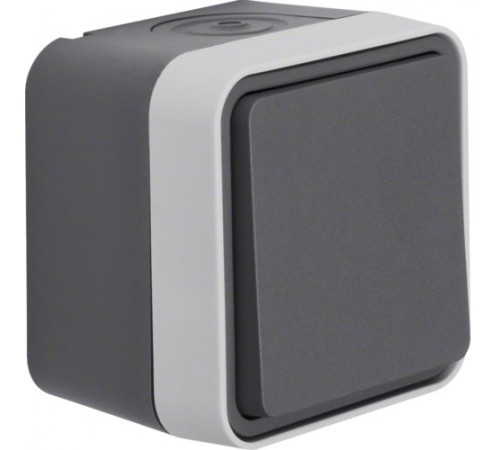 Выключатель хрестовий IP55, серый, 10АX/250В W.1